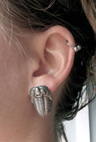 Trilobite Earrings