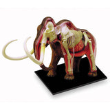 4D Vision Mammoth Anatomy Puzzle