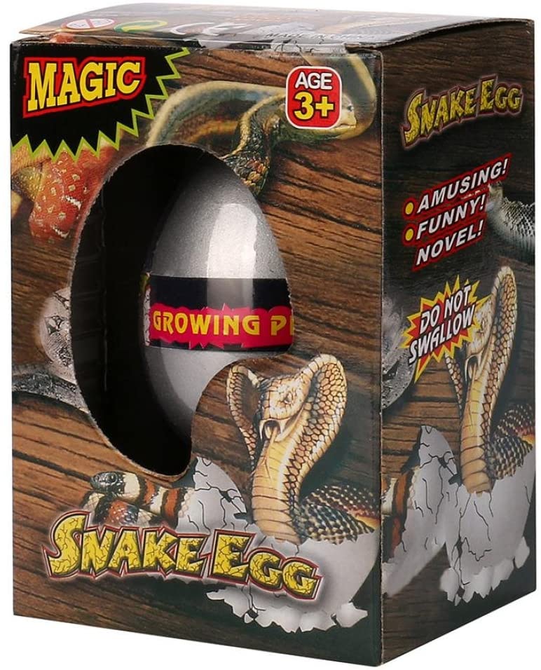 snake eggs hatching