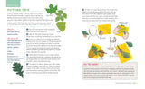 Exploring Nature Activity Book For Kids