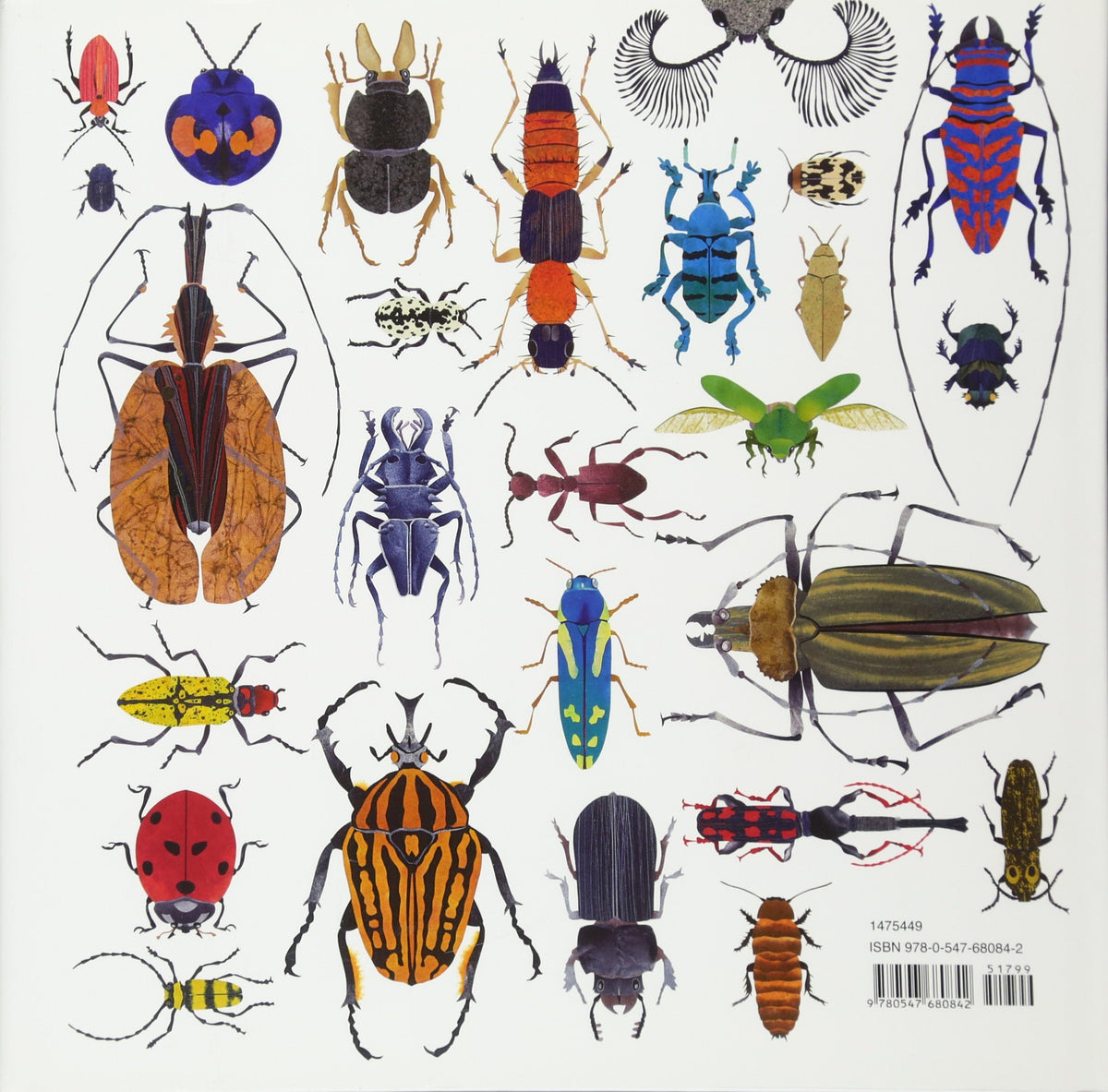 The Beetle Book – Paleontological Research Institution