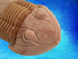 Paleozoic Pals Trilobite Plush (Isotelus)