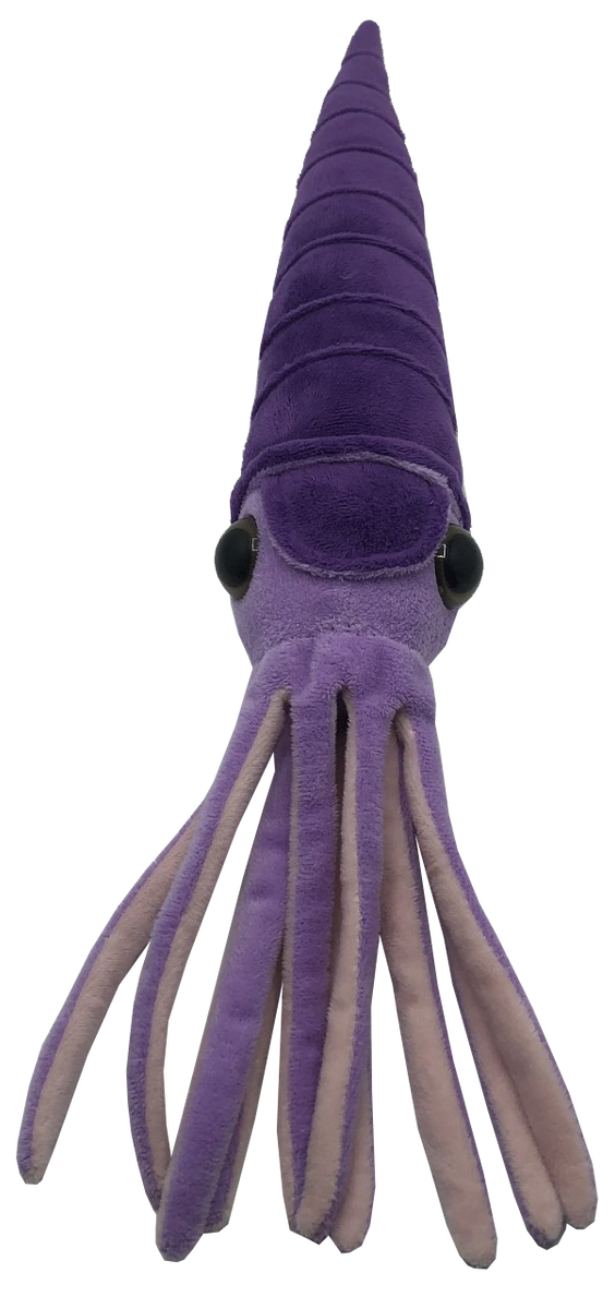 Squid plush best sale