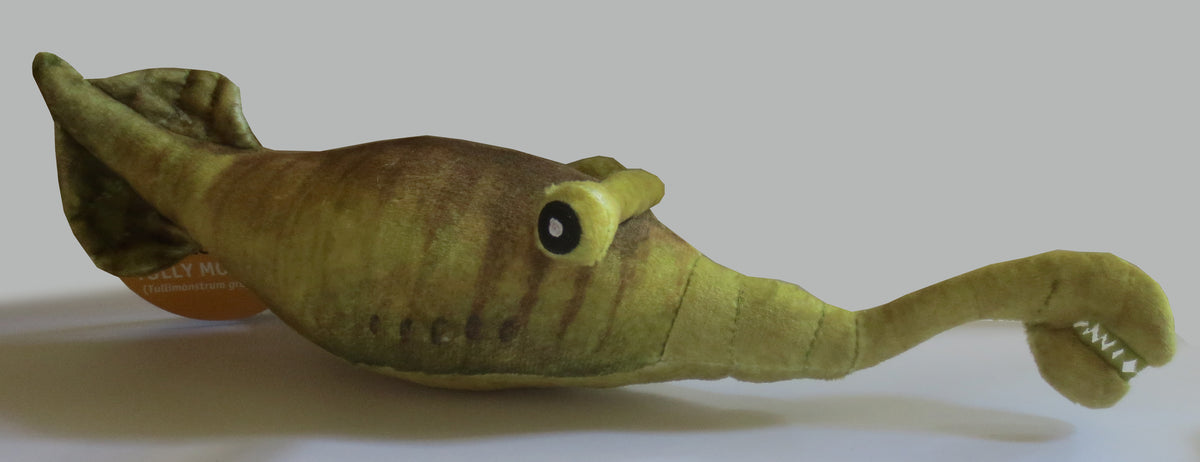 tully monsters Paleozoic Pals Tully Monster Plush – Paleontological Research Institution