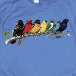 Songbird Spectrum T-Shirt