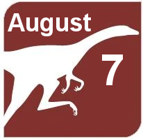 August 7