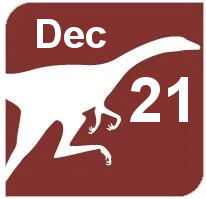 December 21 | Sensory Friendly Hours | 8:30AM-10AM