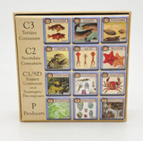 Ecologies Junior Card Game: Ocean