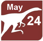 May 24