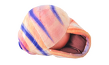 Conch Moon Shell