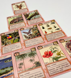 Ecologies Card Game: Hidden Habitats