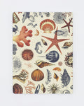 Shallow Seas Softcover Journal