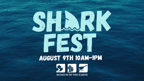 August 9 | Shark Fest | 10AM-1PM