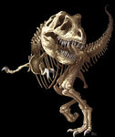 T-Rex Skeleton T-Shirt