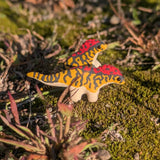 Primal Creations Tinysaurs