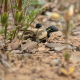 Primal Creations Tinysaurs
