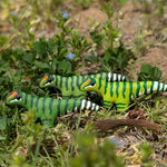 Primal Creations Tinysaurs