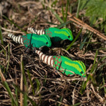 Primal Creations Tinysaurs