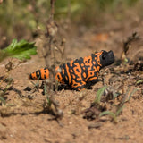 Primal Creations Tinysaurs