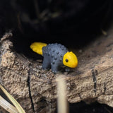 Primal Creations Tinysaurs