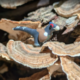 Primal Creations Tinysaurs