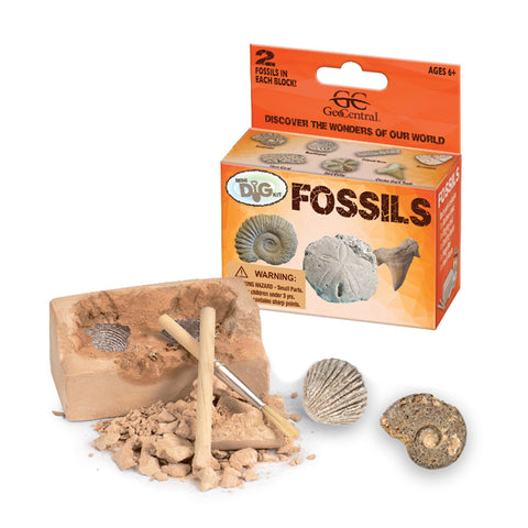 Fossils Mini Dig Kit
