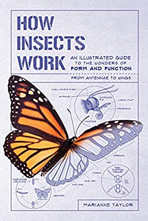 How Insects Work: An Illustrated Guide
