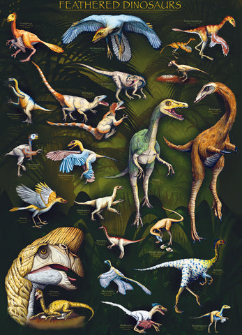 Feathered Dinosaur Poster