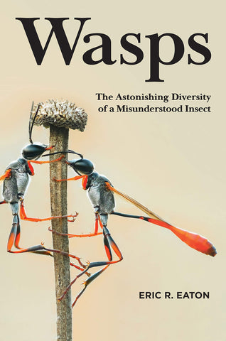 Wasps: Astonishing Diversity