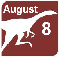August 8