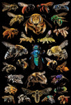 Bee Diversity Poster