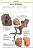 Fossils (Smithsonian Handbook)