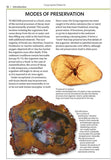 Fossils (Smithsonian Handbook)