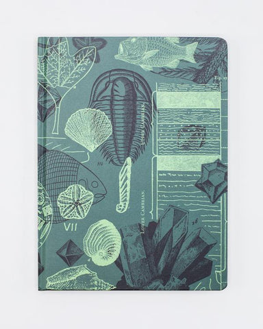 Fossils Hardcover Journal
