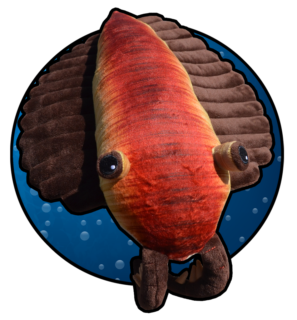 Paleozoic Pals Peytoia Plush Paleontological Research Institution