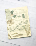 Evolution Softcover Journal