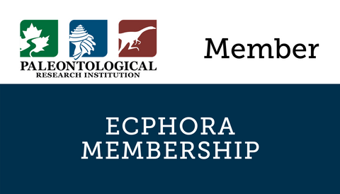 Ecphora Membership