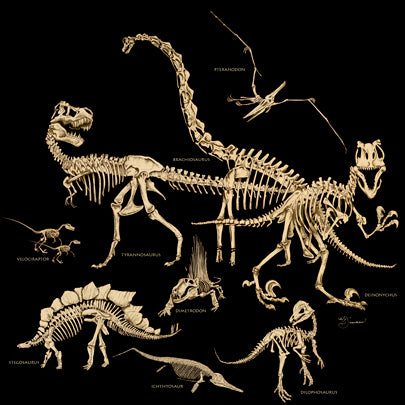 Dino Bones Youth T-Shirt