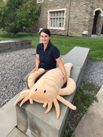 Giant Eurypterid Body Pillow – Paleontological Research Institution