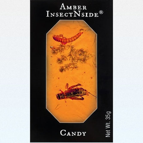 InsectNside Amber Brittle