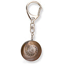 Fossil Ammonite Round Keychain