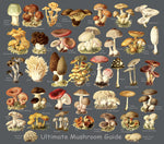 Ultimate Mushroom Guide T-Shirt