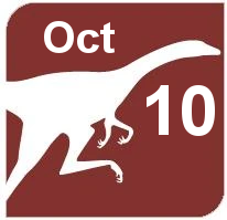 October 10