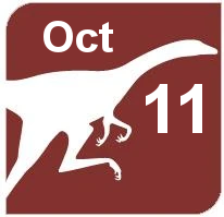 October 11