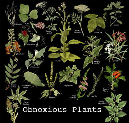 Obnoxious Plants T-Shirt