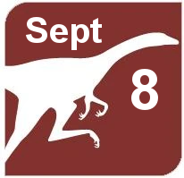 September 8